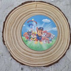 Στοιχείο Paw Patrol