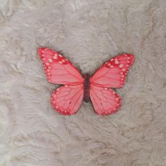 Στοιχείο πεταλούδα 2